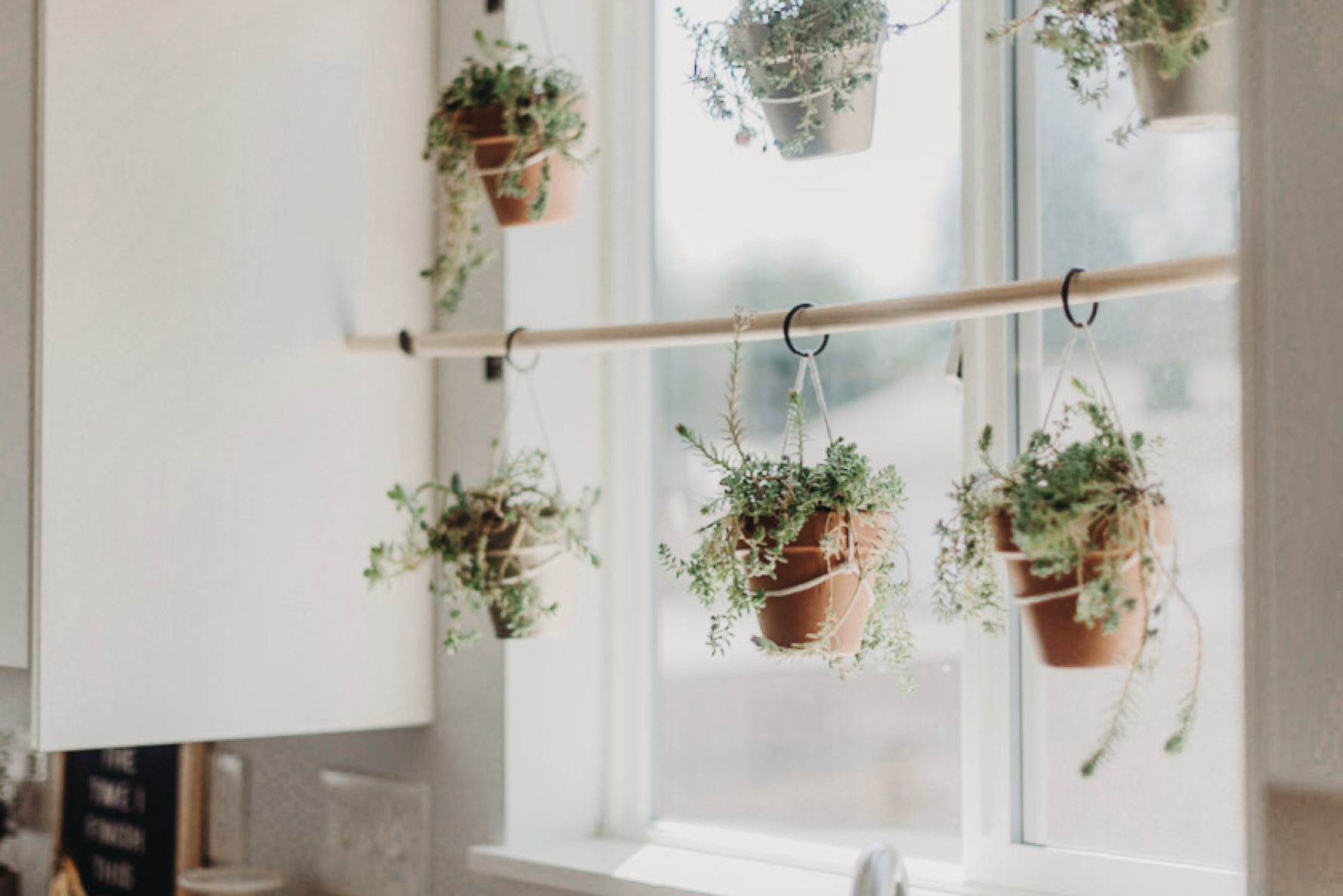 DIY Window Plant Hanger — Brooke Summers